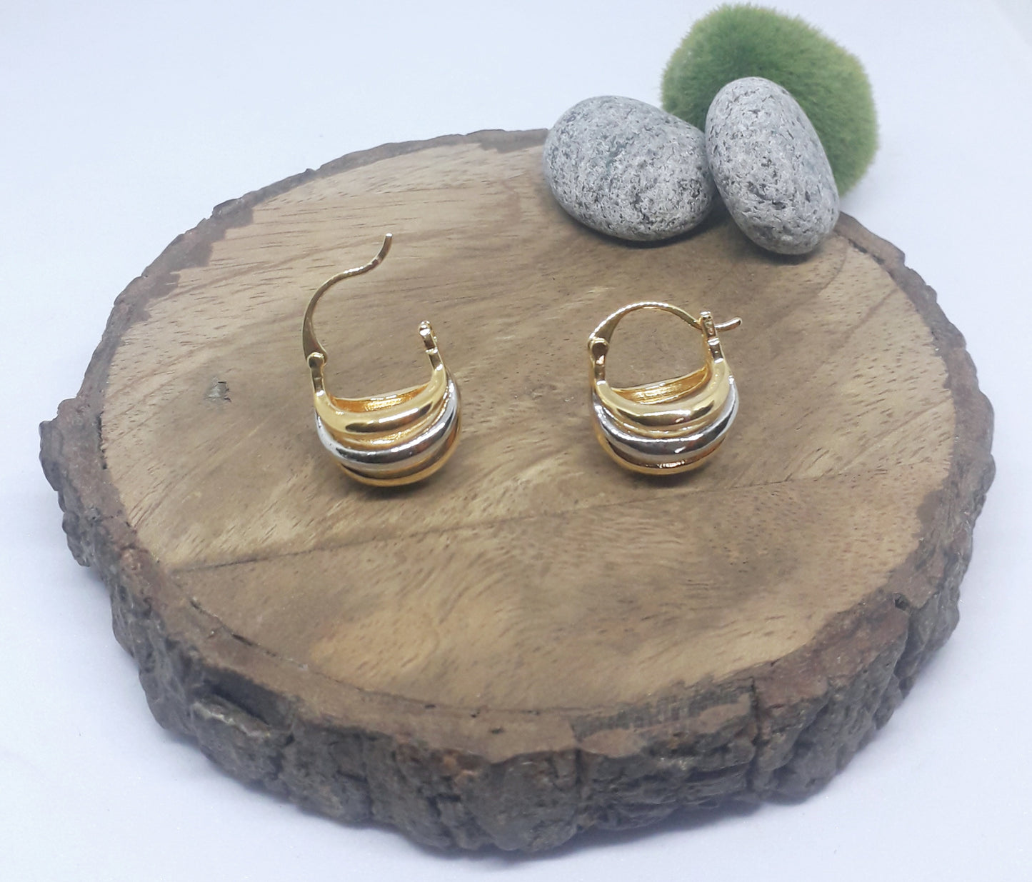 Dual Tone Trendy Earrings