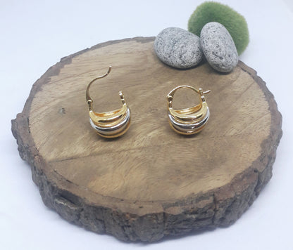 Dual Tone Trendy Earrings