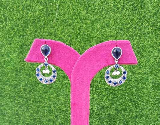 Beautiful Blue Earrings