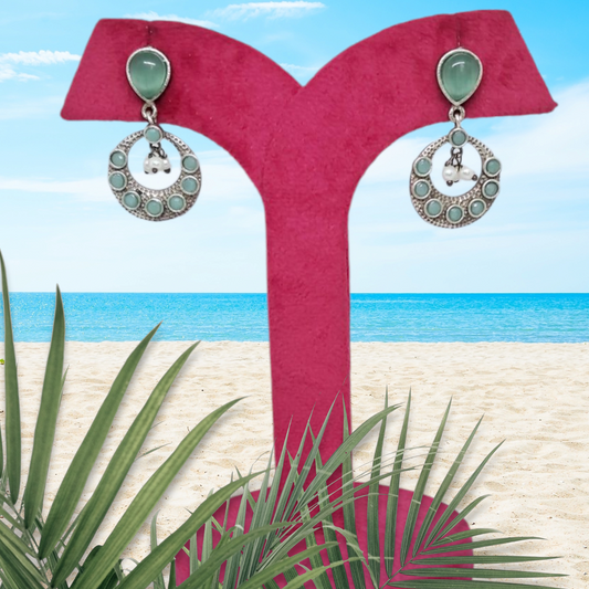 Beautiful Aqua Earrings